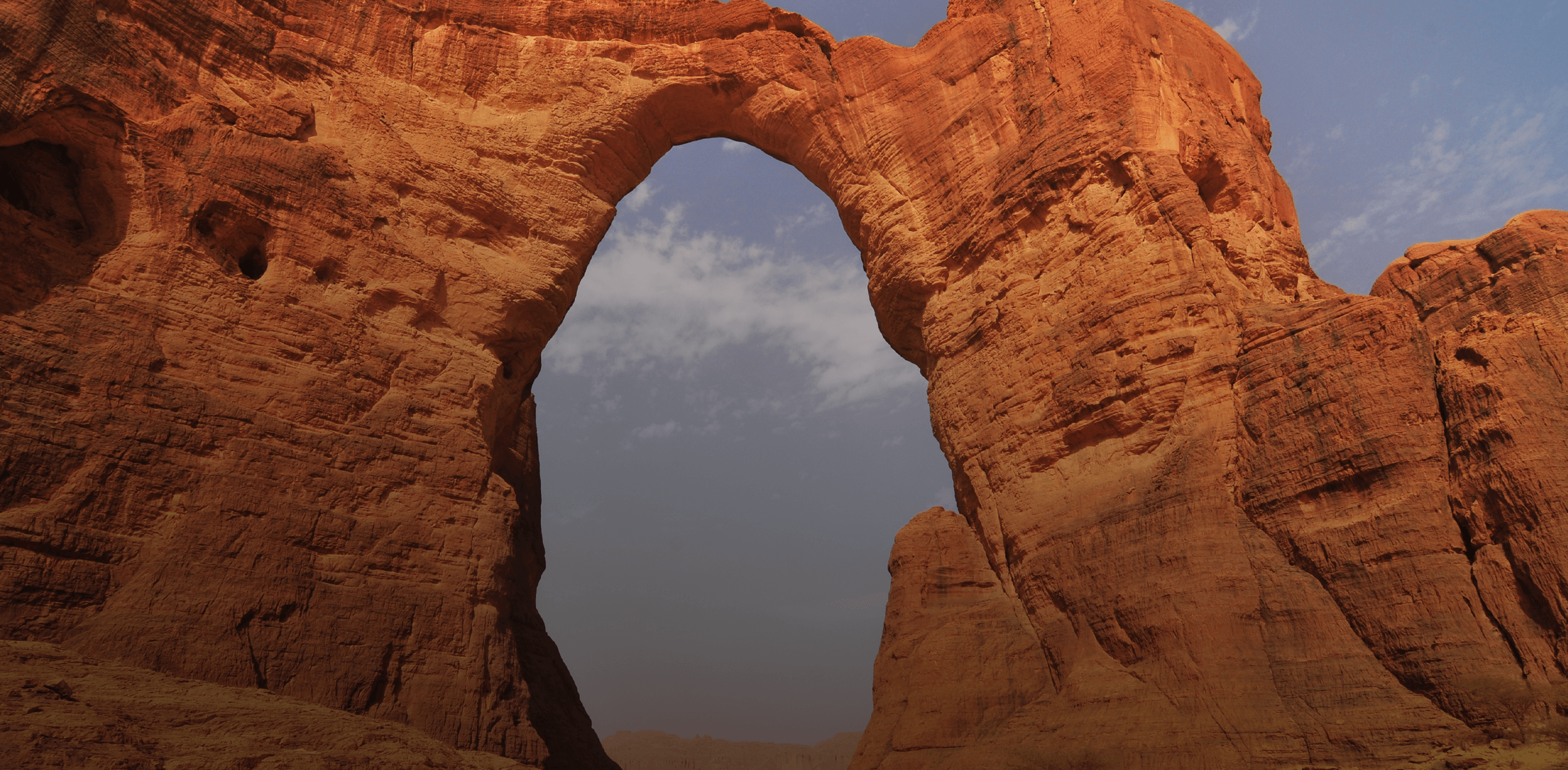 JOURNÉE DE LA BID AU TCHAD